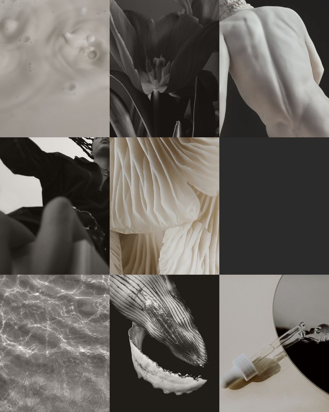 Portfolio showcase 1